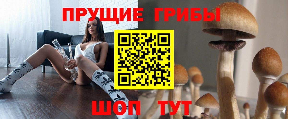 Псилоцибиновые грибы Psilocybine cubensis  Вход с VPN  цена   Богородицк  Псилоцибиновые грибы Cubensis 